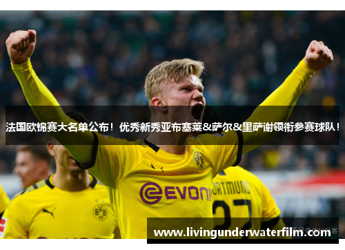 法国欧锦赛大名单公布！优秀新秀亚布塞莱&萨尔&里萨谢领衔参赛球队！